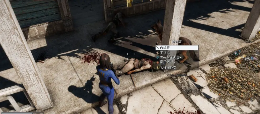 图片[2]-【辐射4：超级魔改整合】目前内容最多、最稳定的版本（持续更新中）